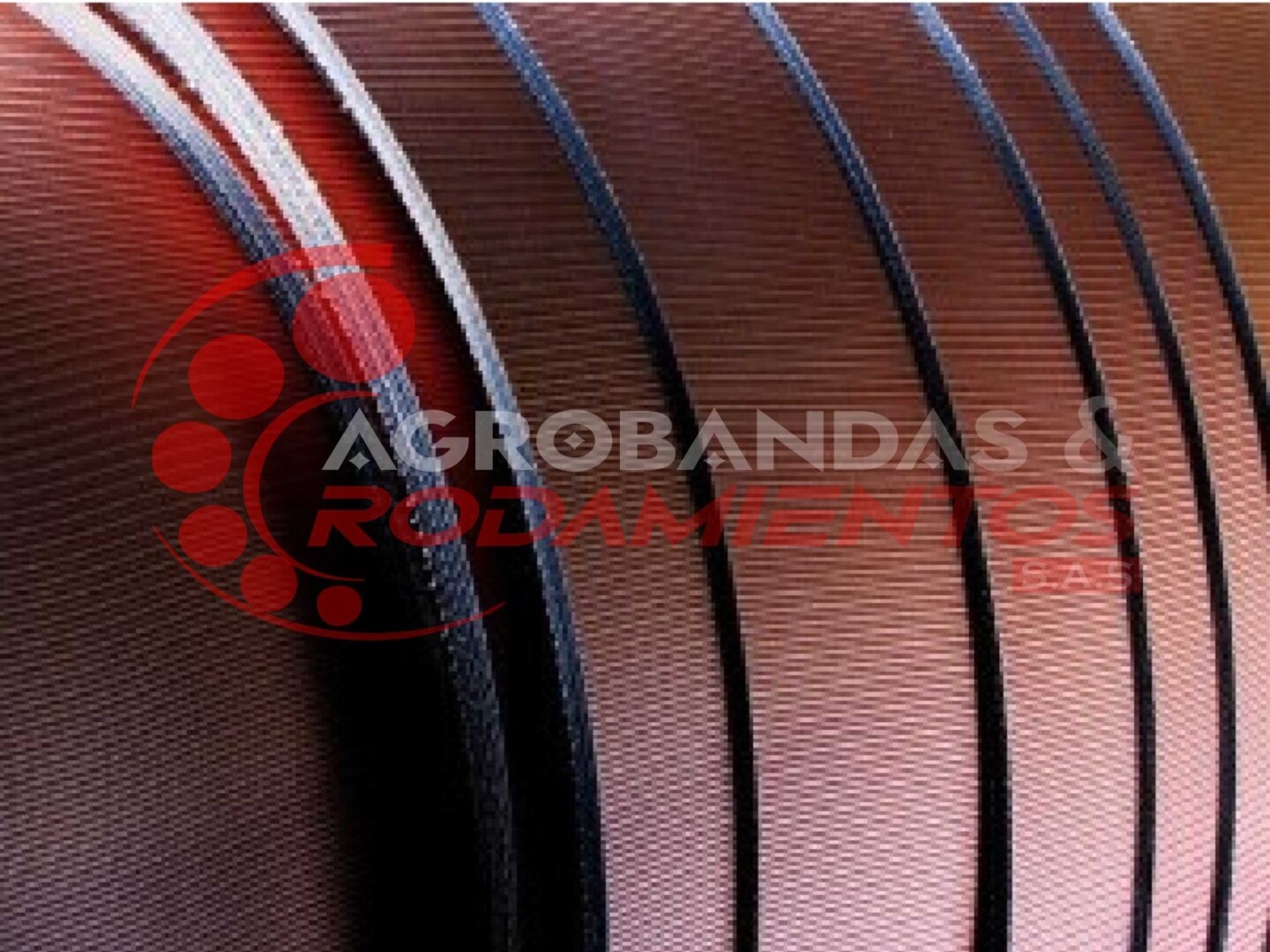 BANDA TRANSPORTADORA